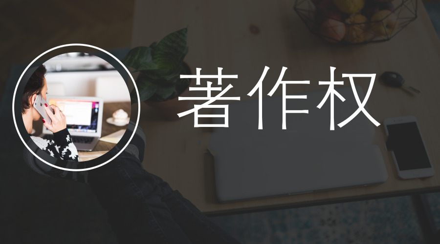 知識產(chǎn)權(quán),軟件著作權(quán)