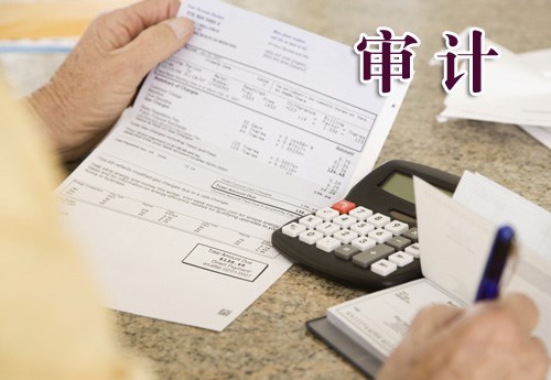 單位審計主要審些什么問題