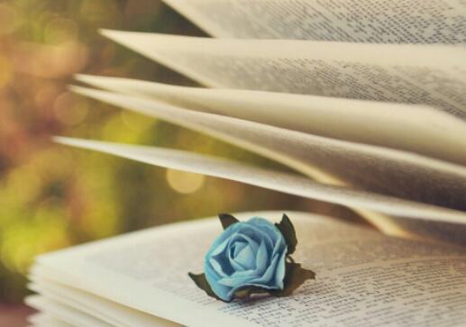 北京付往國(guó)外無(wú)法按實(shí)征收的費(fèi)用如何計(jì)繳所得稅？代扣代繳的境外企業(yè)所得稅怎樣入帳