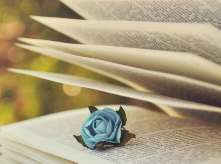 付往國(guó)外無(wú)法按實(shí)征收的費(fèi)用如何計(jì)繳所得稅,代扣代繳的境外企業(yè)所得稅怎樣入帳