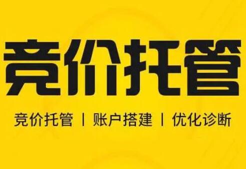 「SEM競價數據」SEM競價數據點擊高無轉化流量優化